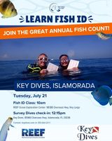 REEF: Great Annual Fish Count