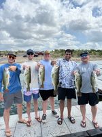 Lake Travis Group Fishing
