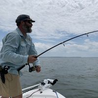 Guided Shark Fishing Trip in Hilton Head Island, SC