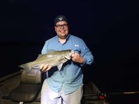 5 Hour Cherokee Lake Striped Bass Fishing Trip