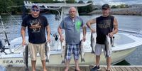 Advanced Half Day Guided Striped Bass Fishing Trip On Lake Murray