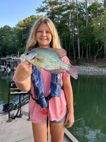 Beginner Crappie Fishing Charter on Lake Lanier