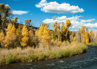 Provo River Fly Fishing Guides | 4 Hour Wade Fishing On The Provo River