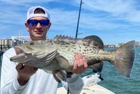 Inshore Clearwater Full Day Guided Trip