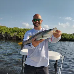 Crystal River catches