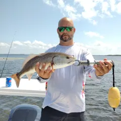 Crystal River catches