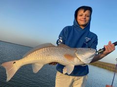 Tailing Ponds Number 2 catches