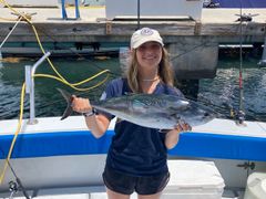 Atlantic Ocean catches