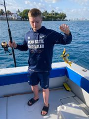 Atlantic Ocean catches