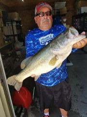 Lake Fork Reservoir - Wood, TX catches