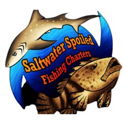 Saltwater Spoiled Fishing