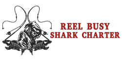 Reel Busy Shark Charters
