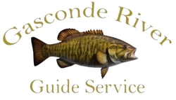 Gasconade River Guide