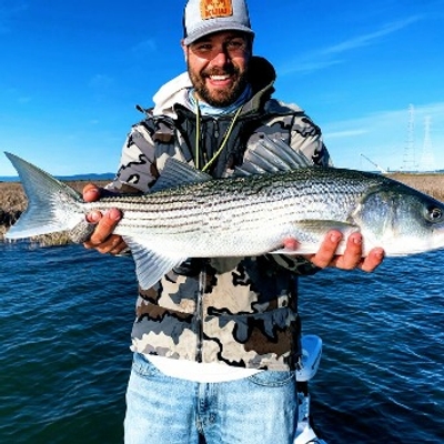 MacKenzie On The Fly