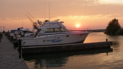 Gizzmo Charters