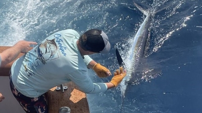 Citation SportFishing