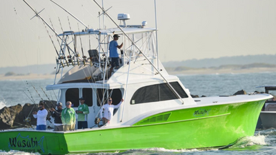 wasabi sportfishing