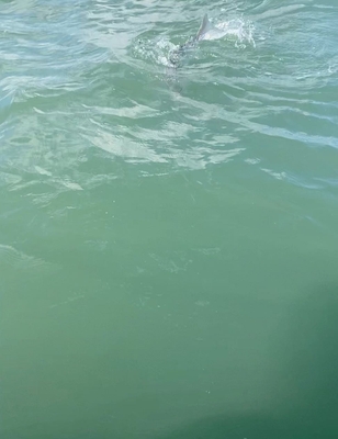 Nightwatch Sport Fishing