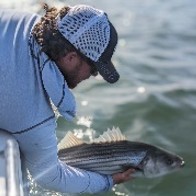 Rocks Pebbles and Sands