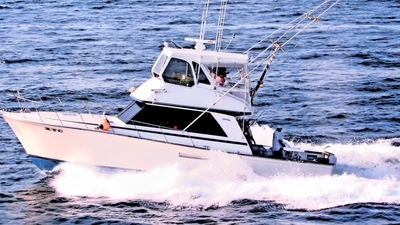 XTC Sportfishing