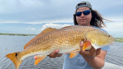 Southern Express Adventures