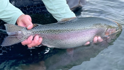 The Bend Company Fly Fishing Guide Service