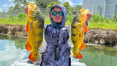 RB Charters Miami LLC