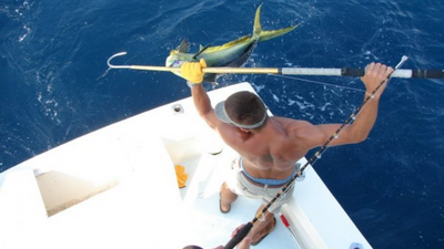 Sea Hunter 2 Fishing Charters