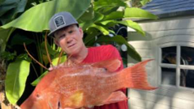 Domestic Six Pack Charters