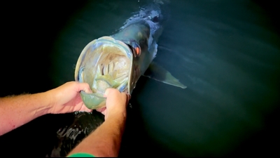 Flat Bottom Fishing Charters