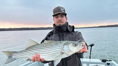 Premier Guide Service