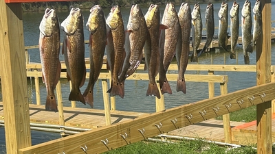 Today We Fish Charter and Adventures