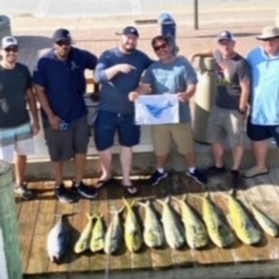 Sylva Lining Charters