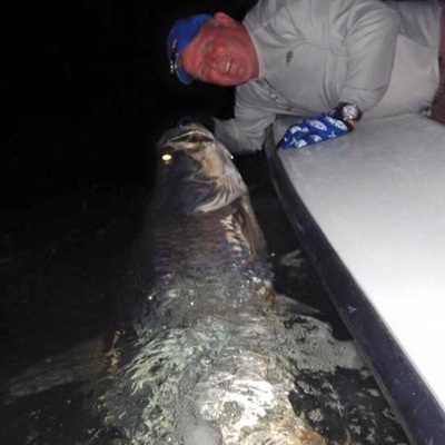 Billfish Sportfishing