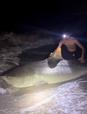 Drop Zone Fishing Charters