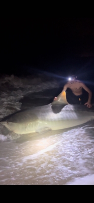 Drop Zone Fishing Charters