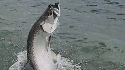 6th Generation Charters