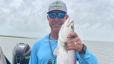 Get the Net Guide Services - Crystal Beach