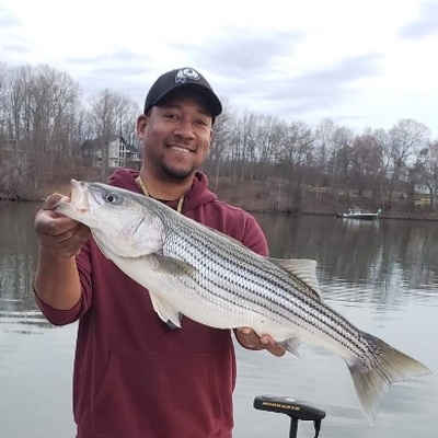 Pullin' Drag Striper Fishing Charter