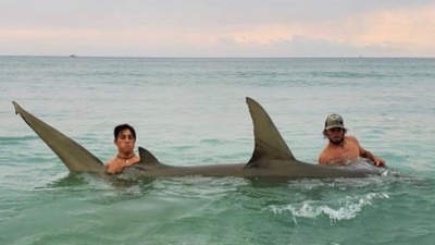 Noname Shark Charters