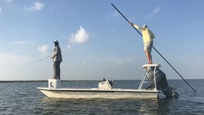 Shallow Water Safaris