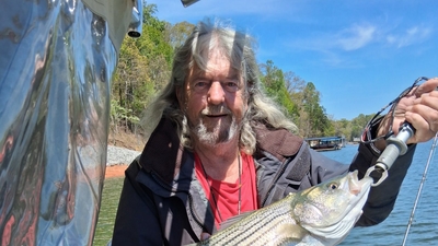 Redds Southern Striper Guides
