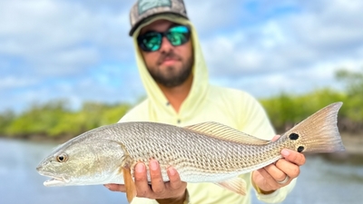 Southern Cut Charters