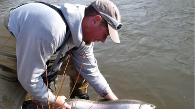 Bluewater Fishing Adventures