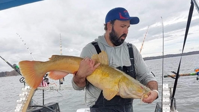 Cats on the Rock Guide Service