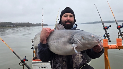 Cats on the Rock Guide Service