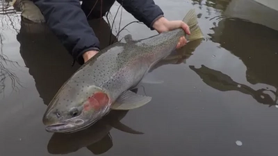 Early Bird Outfitter