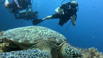 Liquid Silence Dive Charters