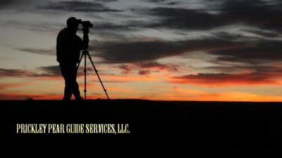 Prickly Pear Guide Service