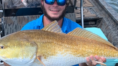 Wicked South Charters